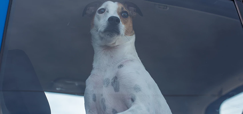 Car Lockout Solutions in Riverbank, California